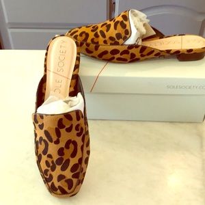 Beautiful Sole Society Bedford Leopard print mules